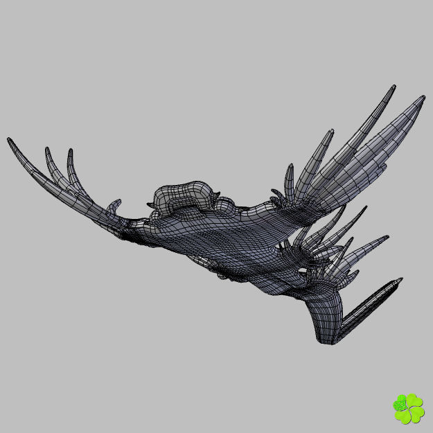 Glaucus atlanticus rigged low poly Low-poly 3D model_52