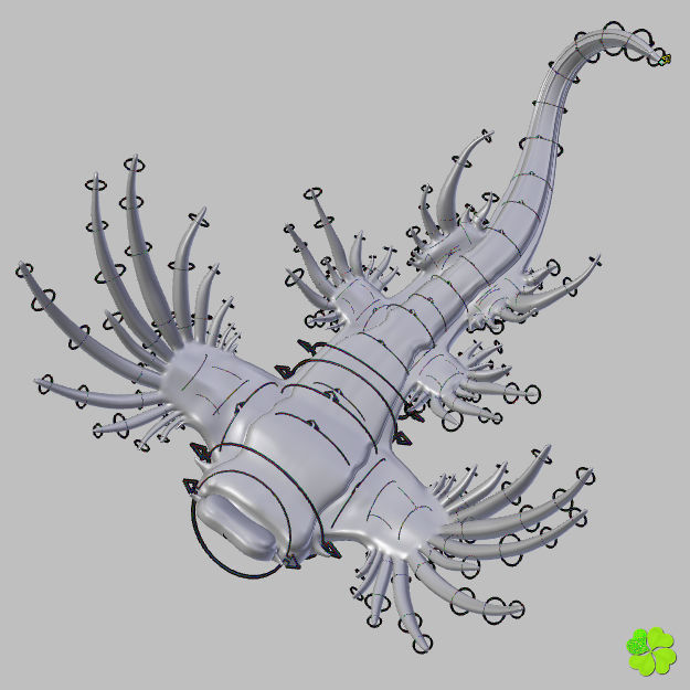 Glaucus atlanticus rigged low poly Low-poly 3D model_55