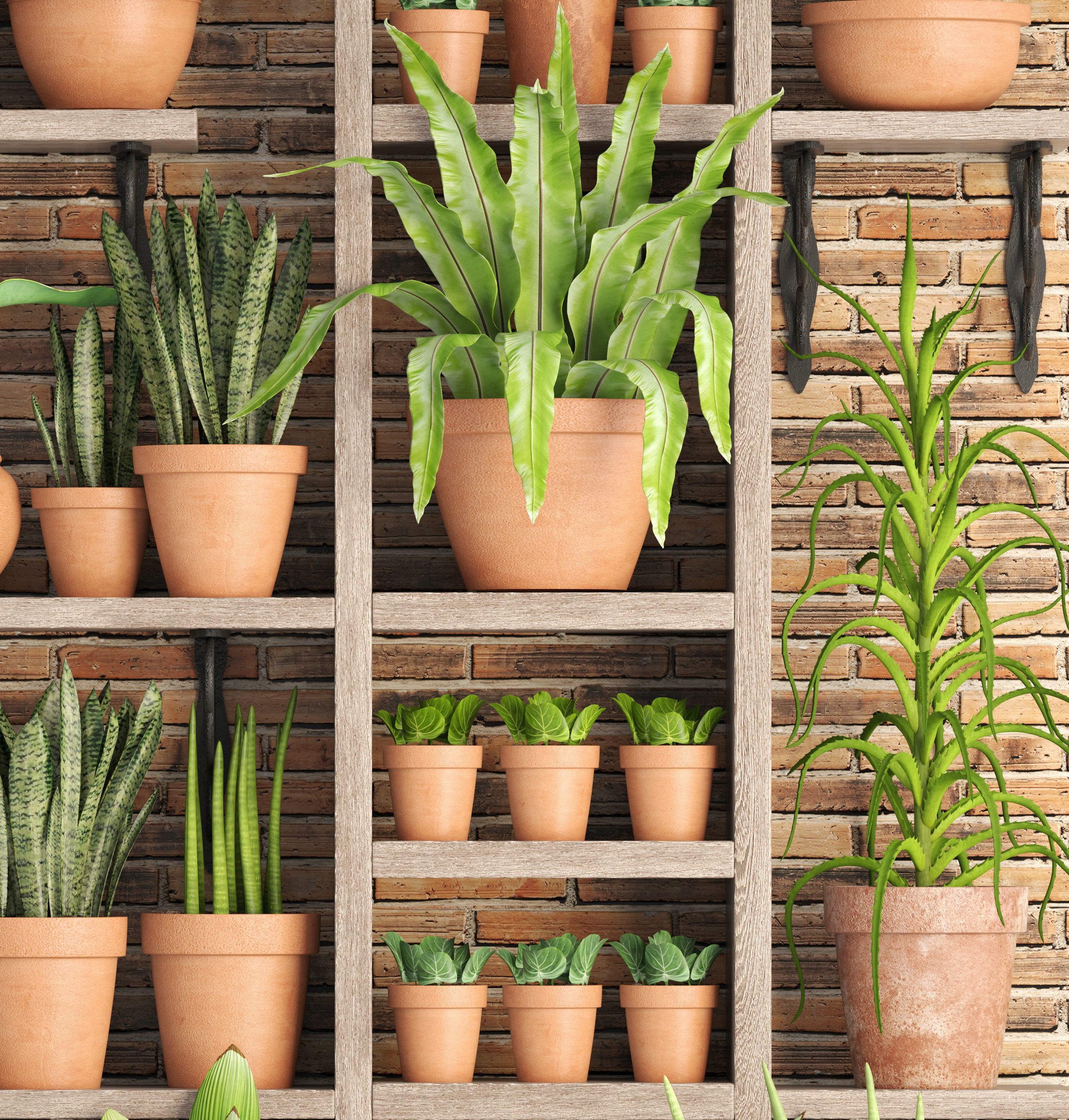 collection of plants in clay pots 3D model_11