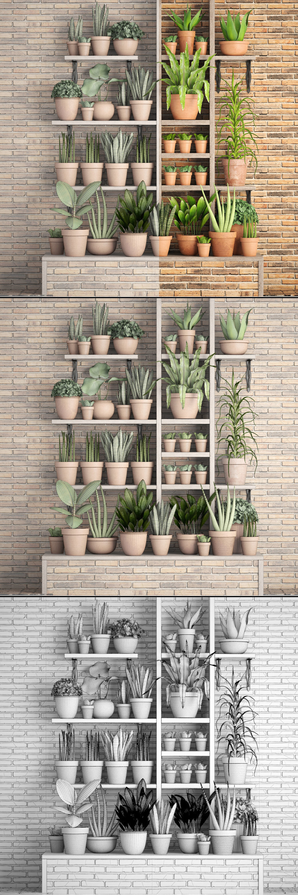 collection of plants in clay pots 3D model_12