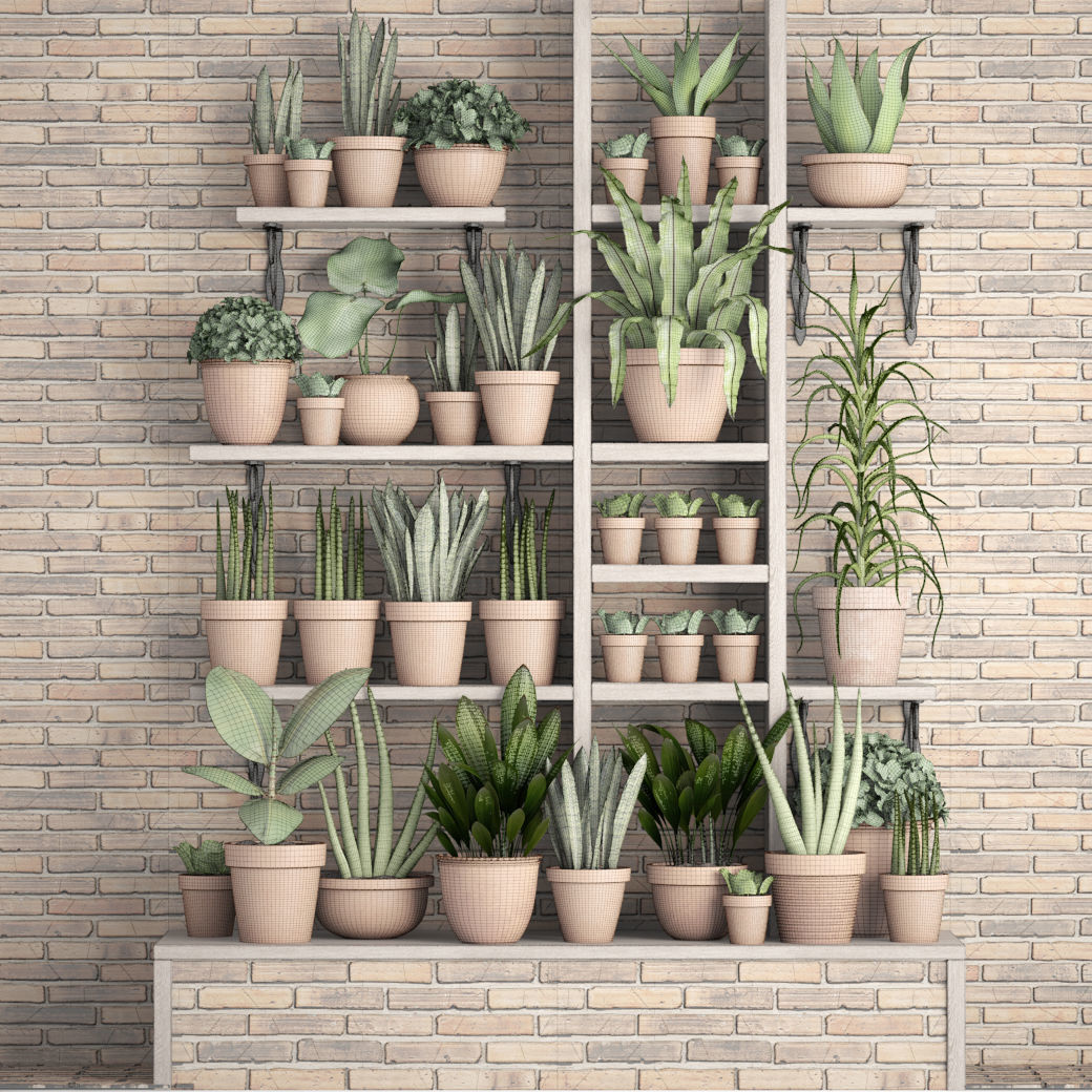 collection of plants in clay pots 3D model_7