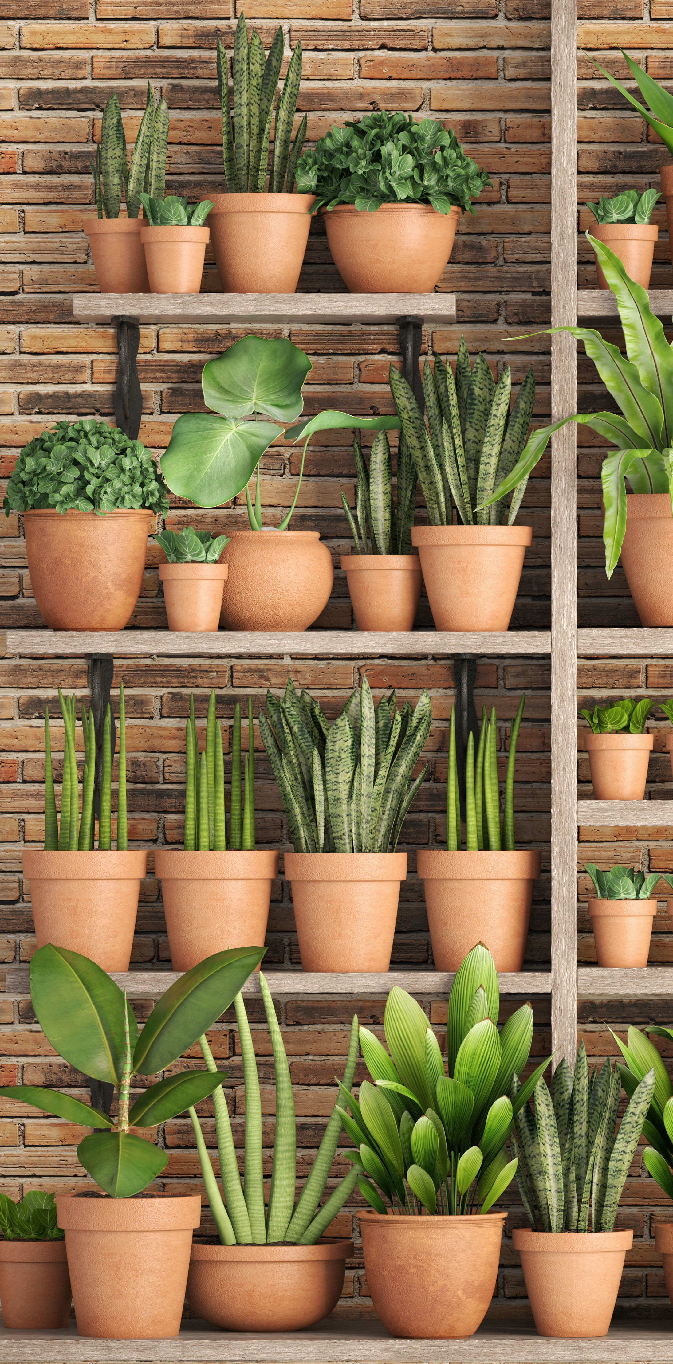 collection of plants in clay pots 3D model_1