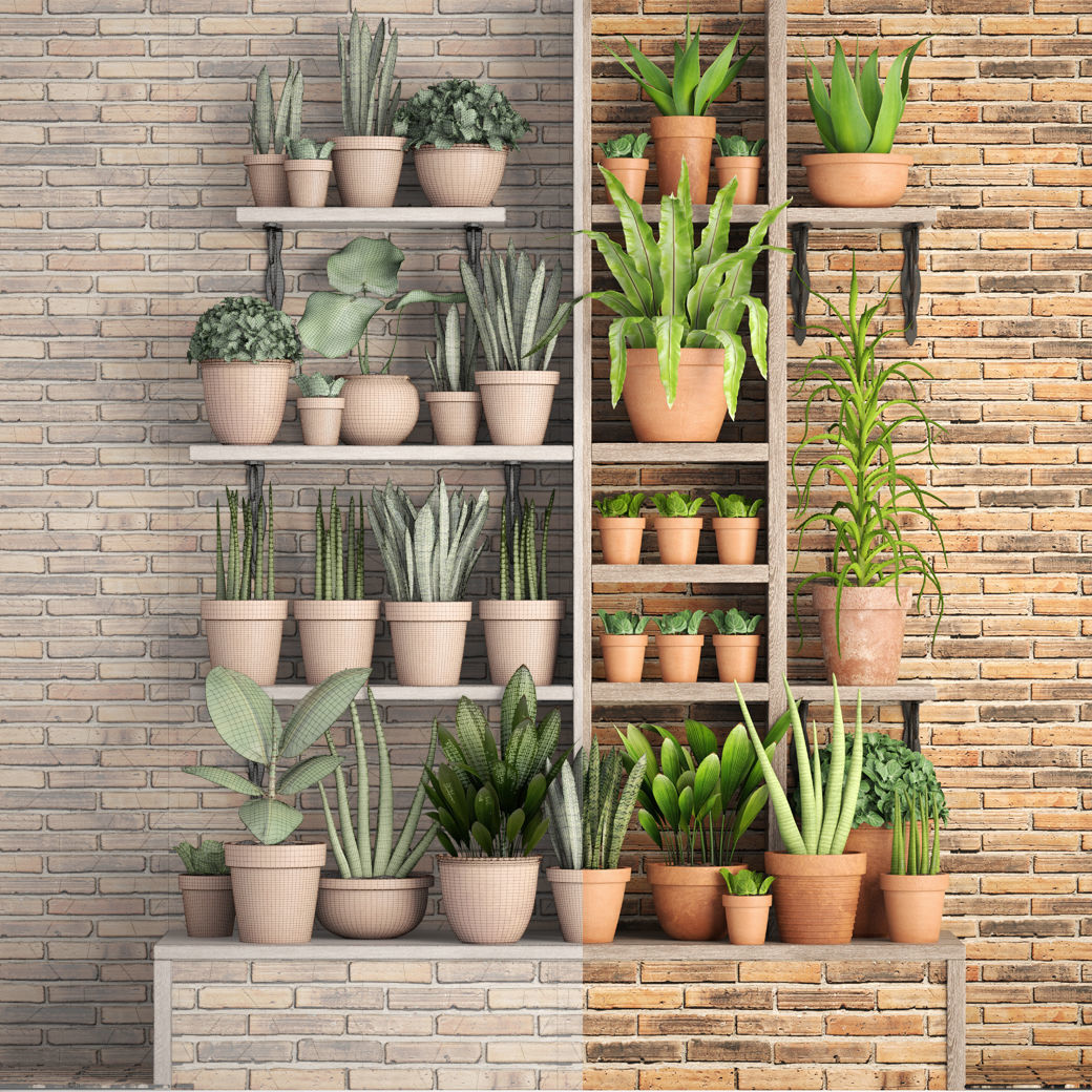 collection of plants in clay pots 3D model_8