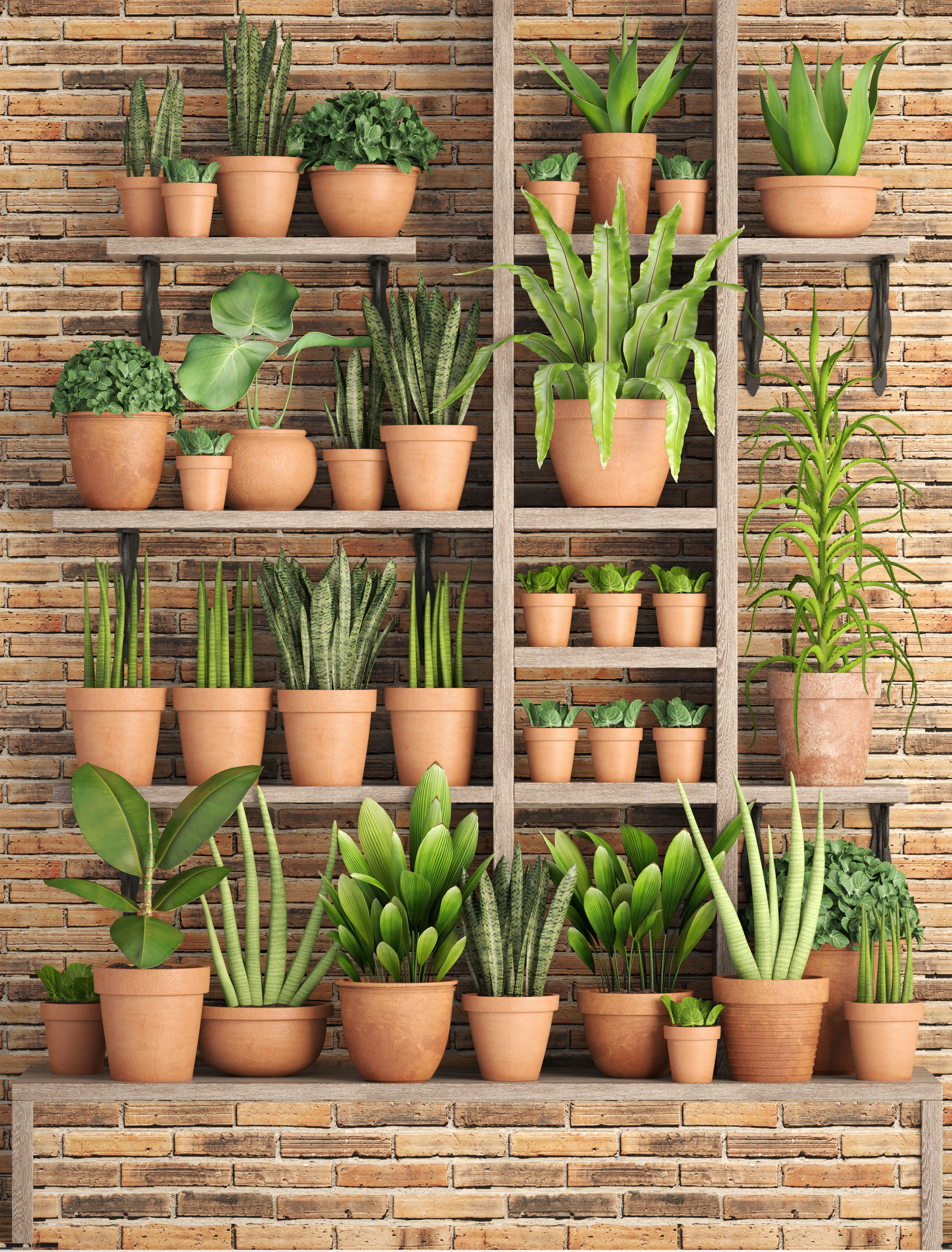 collection of plants in clay pots 3D model_9