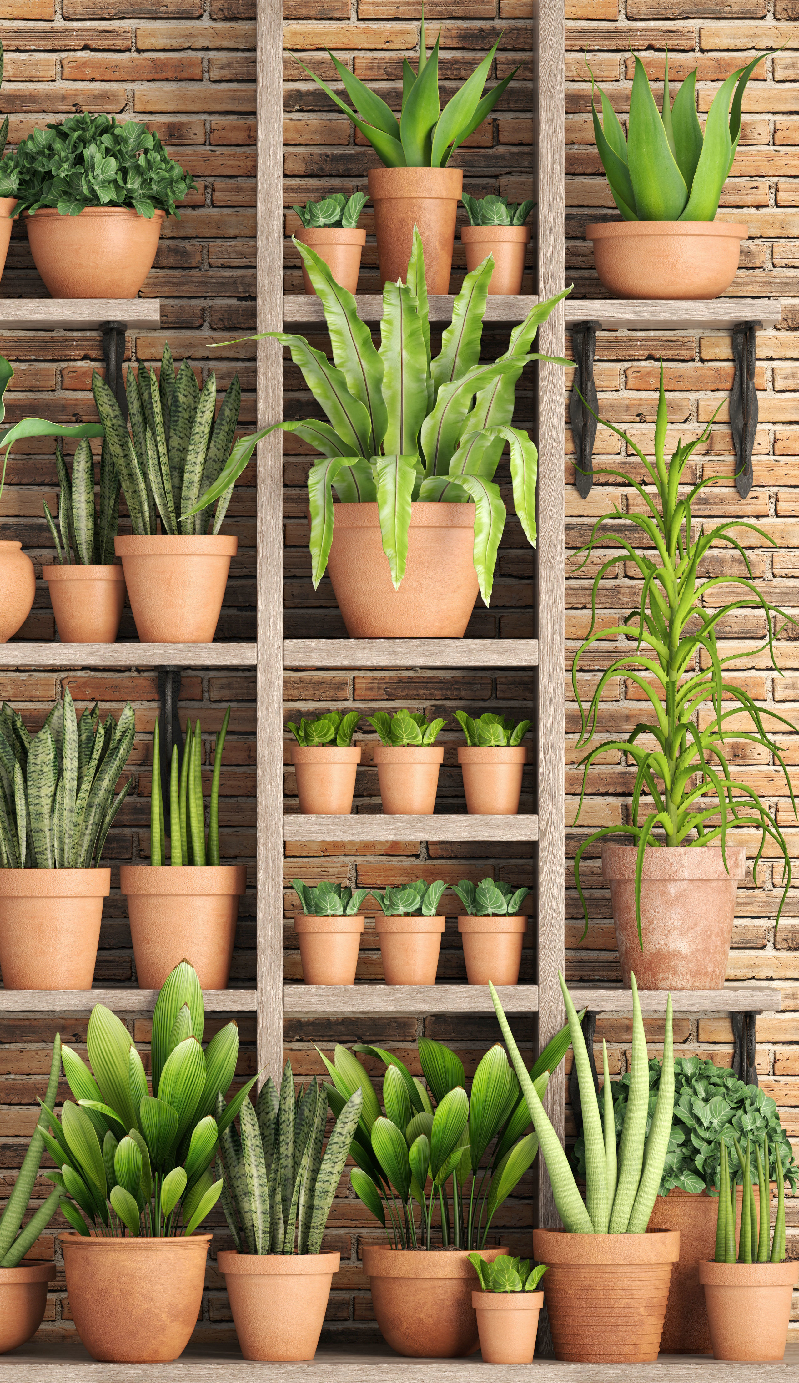 collection of plants in clay pots 3D model_2