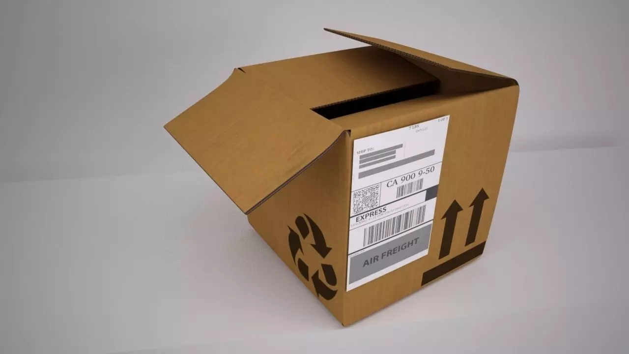 Cardboard Box 3D model_0