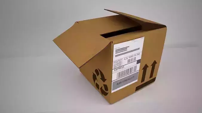 Cardboard Box