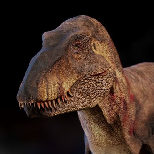 Tyrannosaurus rex 3D model