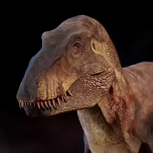 Tyrannosaurus rex 3D model