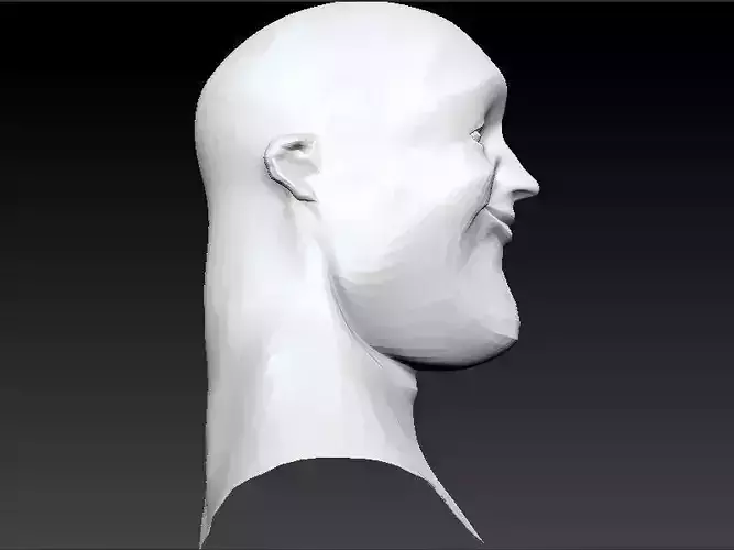 Male Cartoon Head and Bust