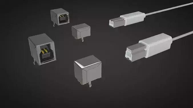 Usb type b male and female connector 3D model