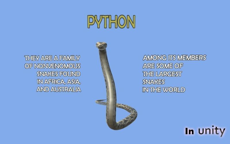 Animated Python AR VR Unity 3dsmax Low-poly 3D model_6