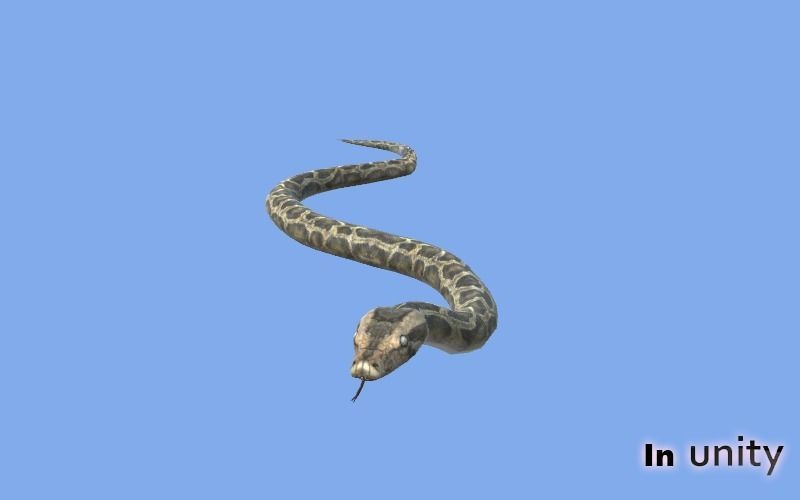 Animated Python AR VR Unity 3dsmax Low-poly 3D model_3