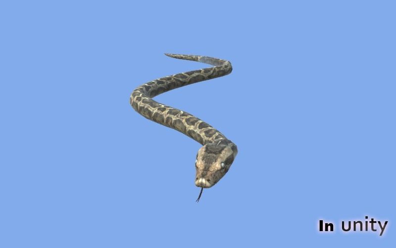 Animated Python AR VR Unity 3dsmax Low-poly 3D model_7