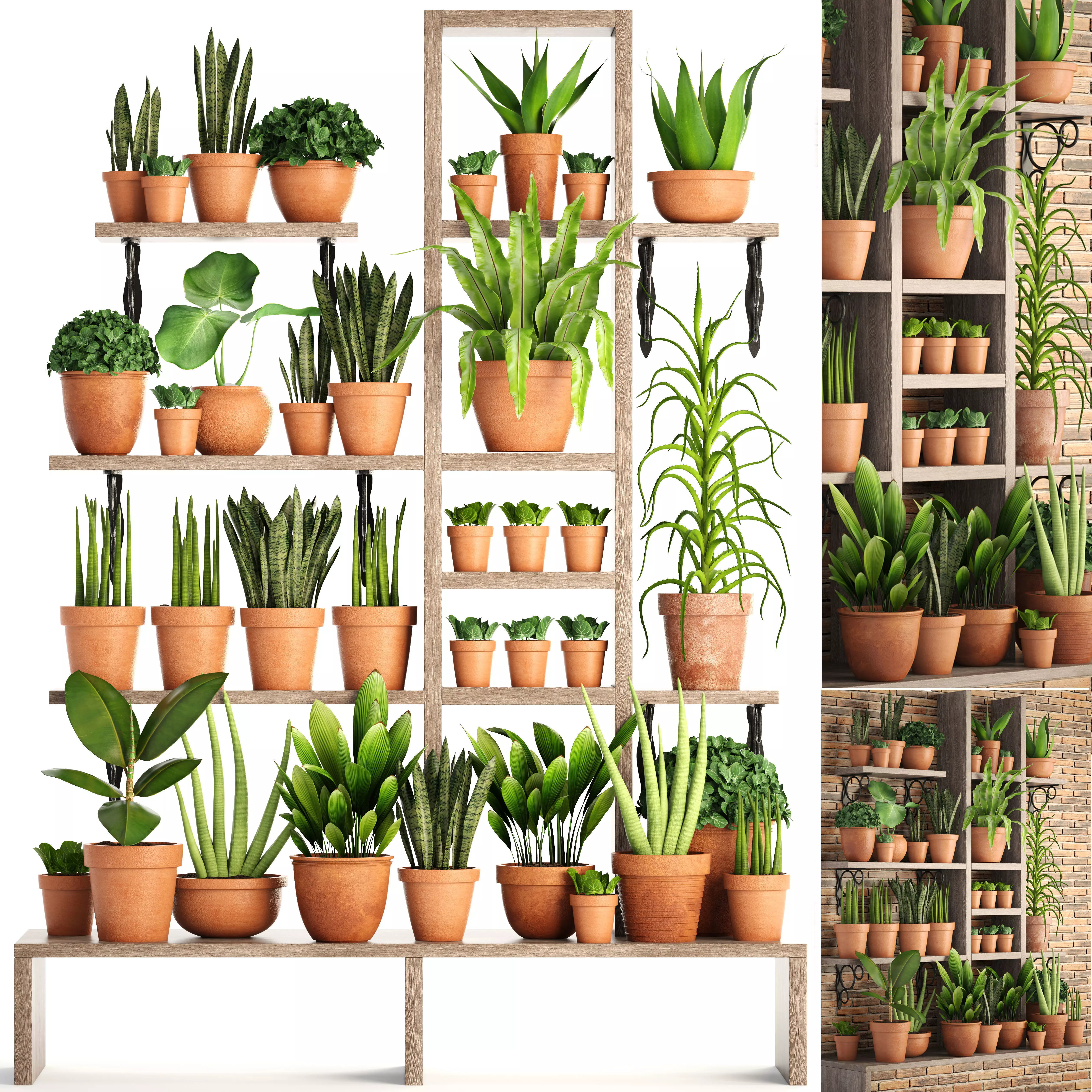 Collection of plants in clay pots 3D model_0
