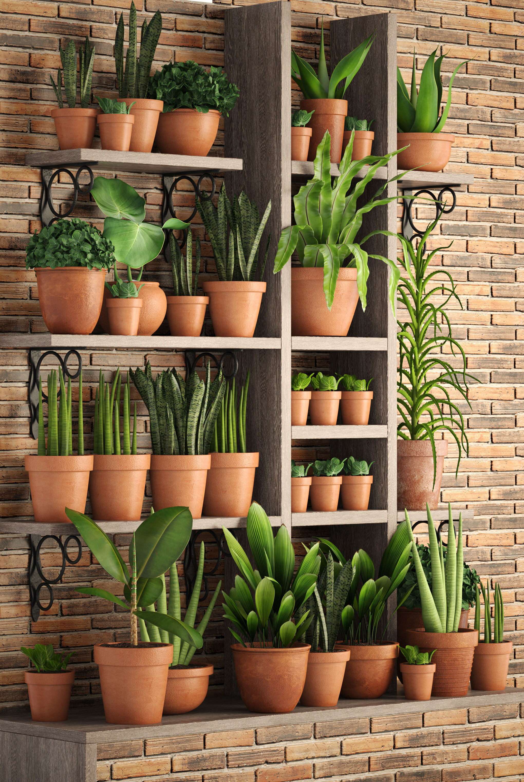 Collection of plants in clay pots 3D model_16