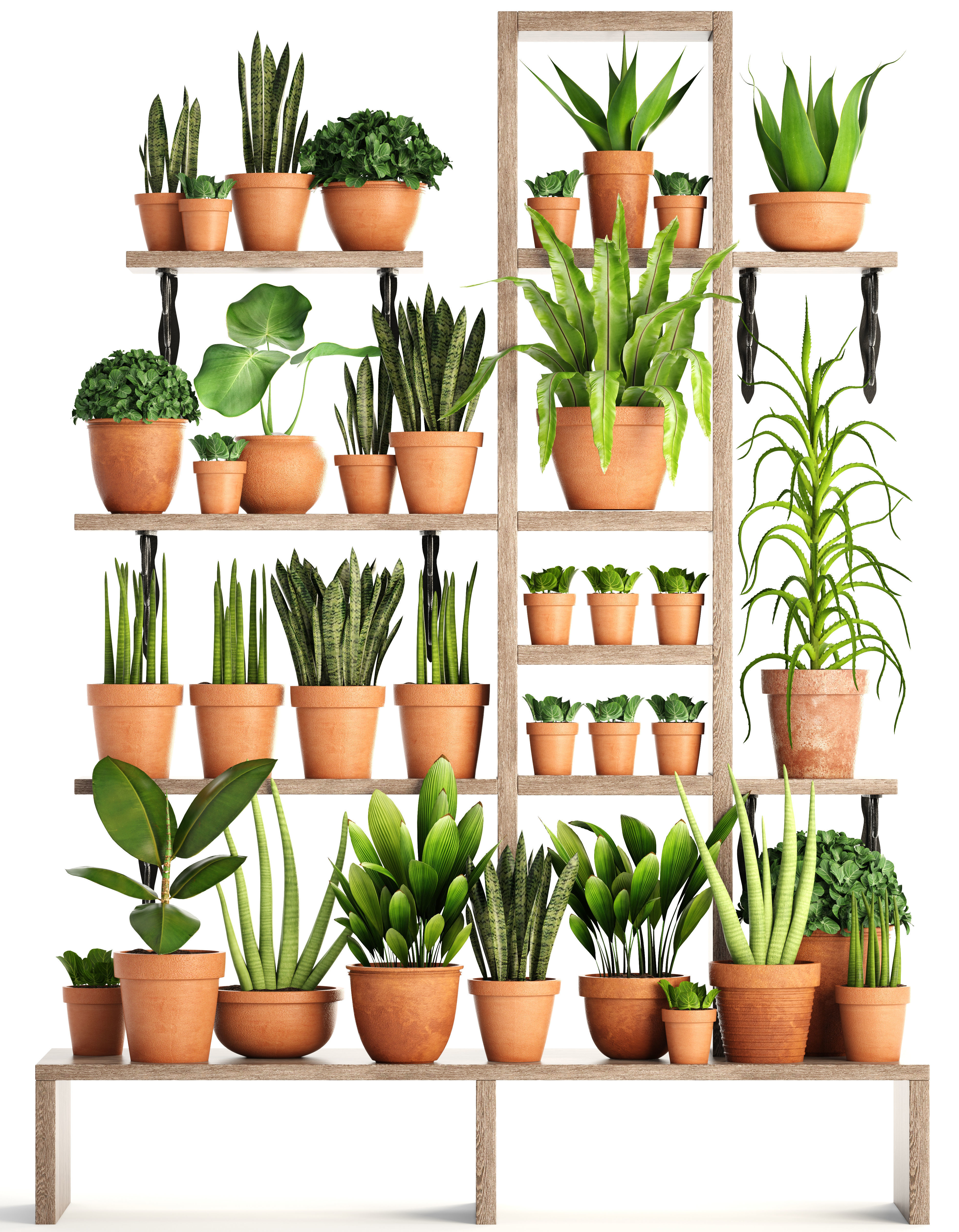 Collection of plants in clay pots 3D model_3