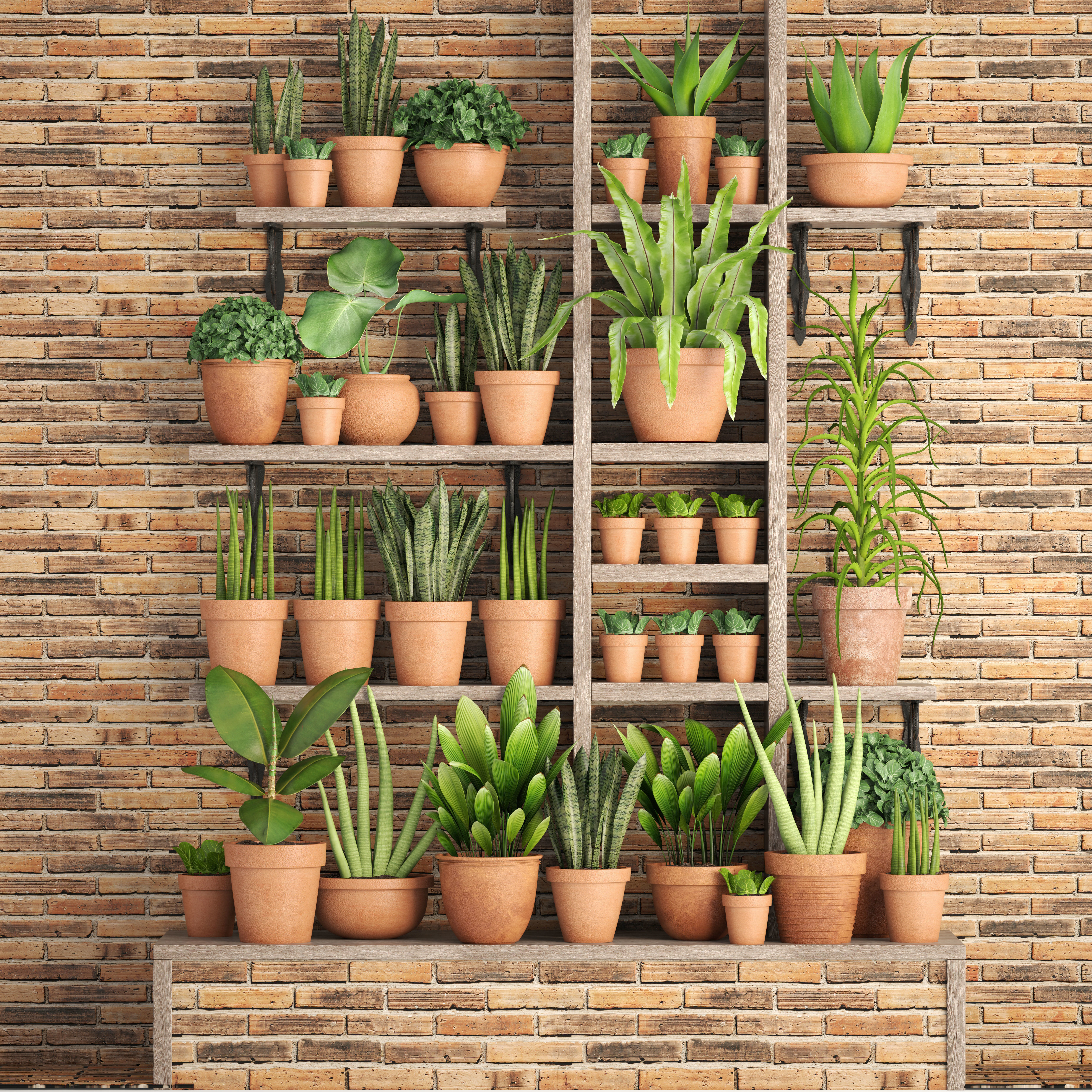 Collection of plants in clay pots 3D model_9