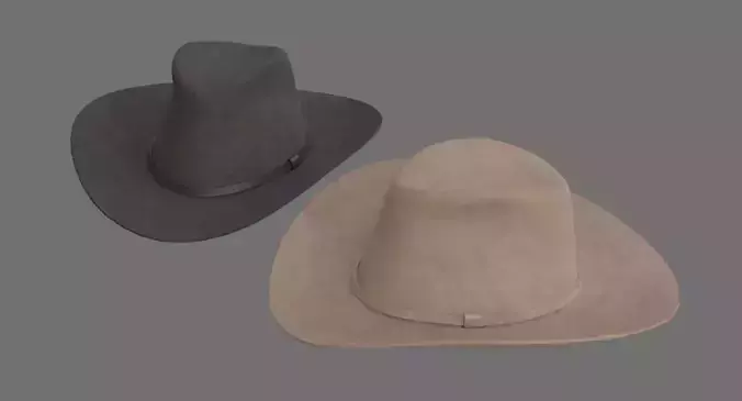 Cowboy Hat 1A