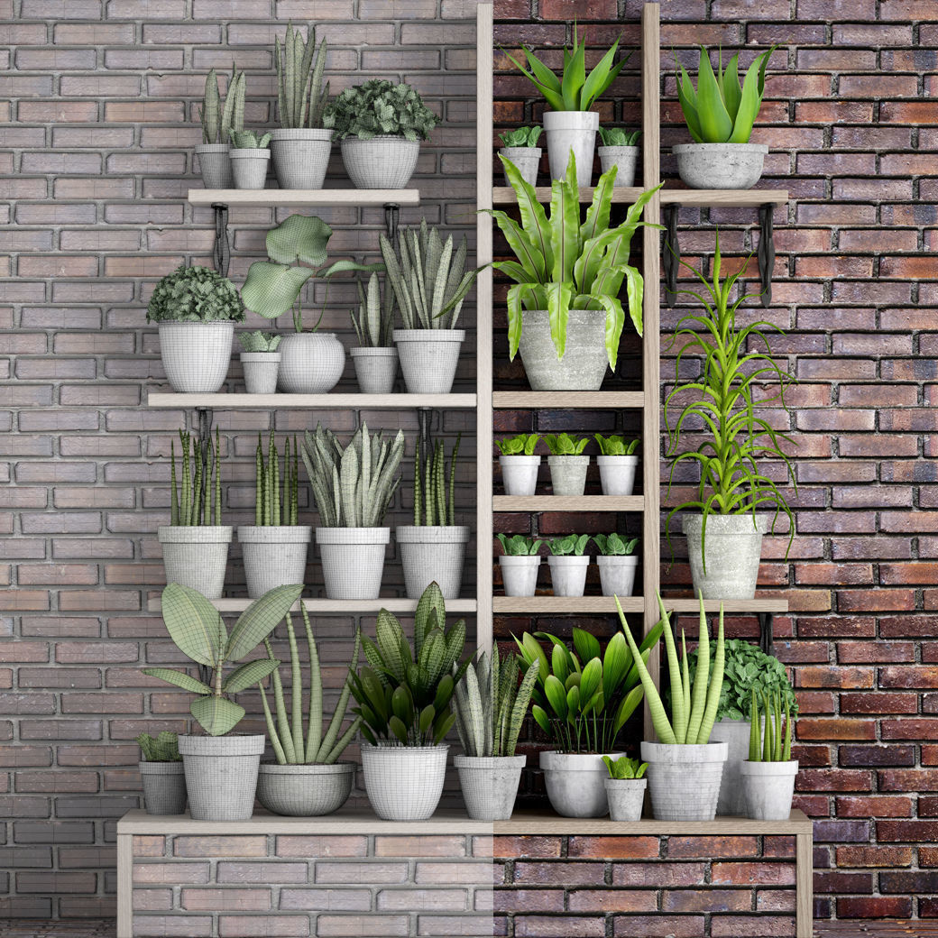 Collection of plants in concrete pots 3D model_3