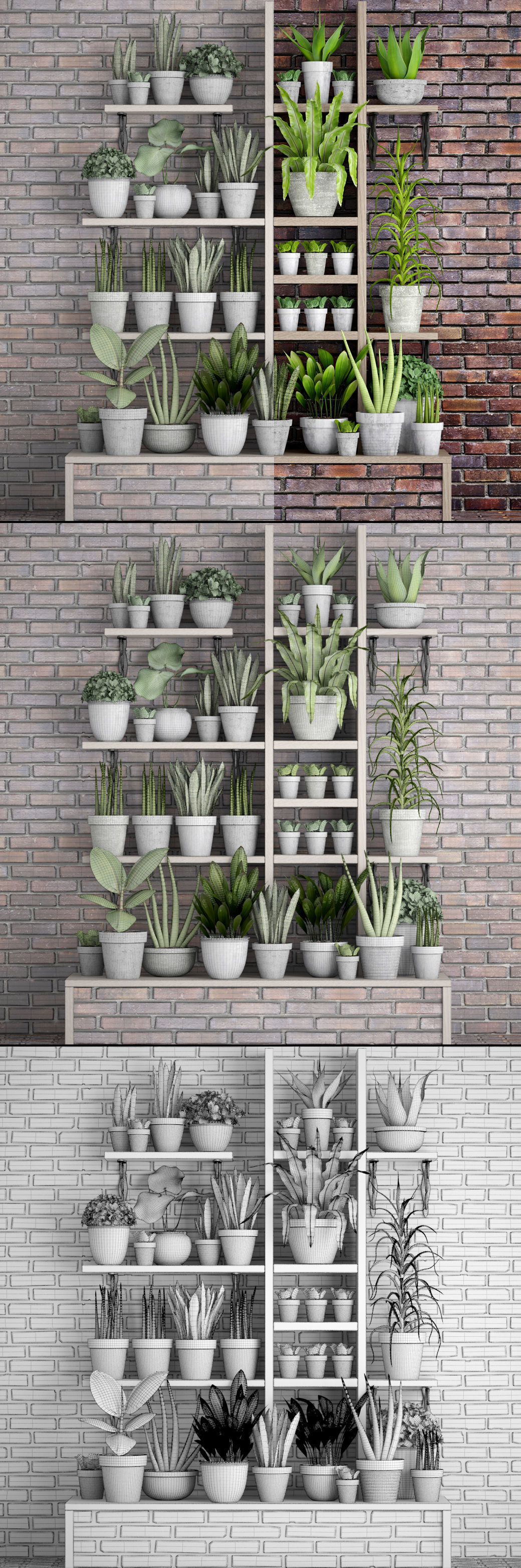 Collection of plants in concrete pots 3D model_8