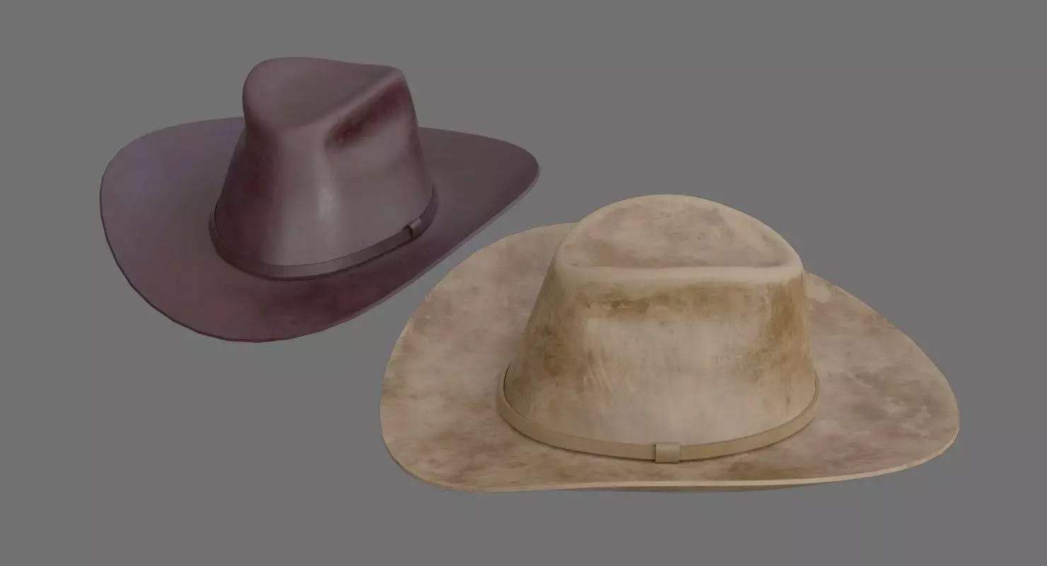 Cowboy Hat 1D Low-poly 3D model_0
