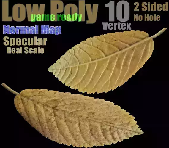 Fallen Leaf -  Game Ready Low-poly 3D model