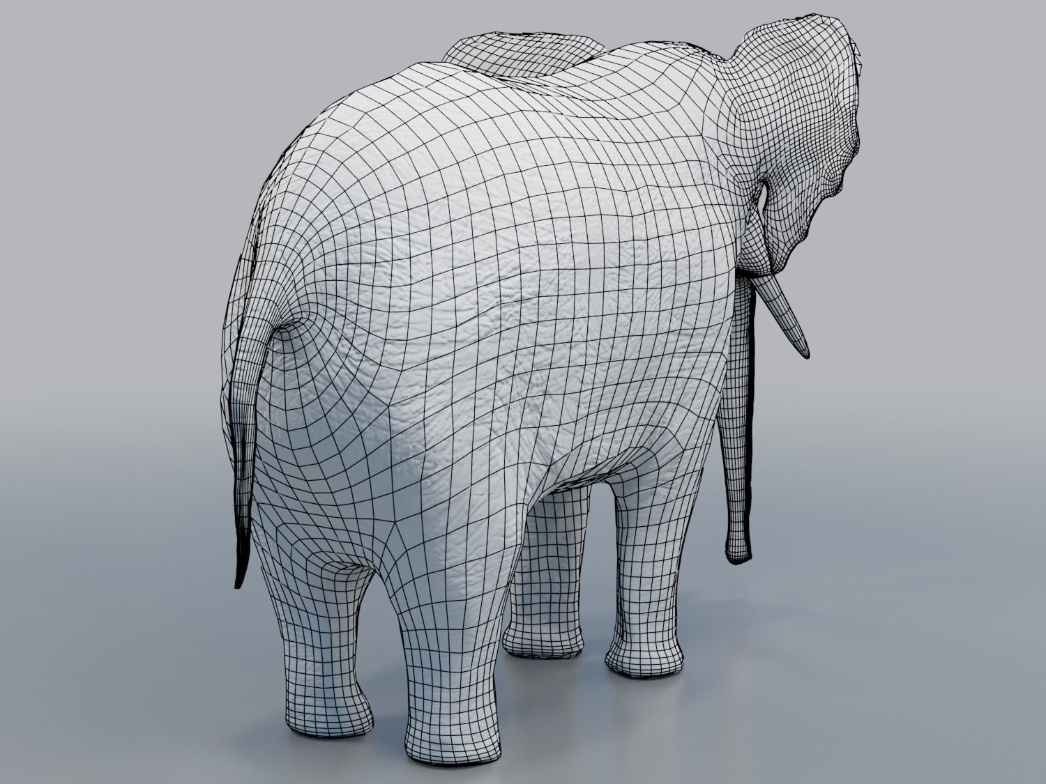 African Elephant - Loxodonta Africana Low-poly 3D model_9