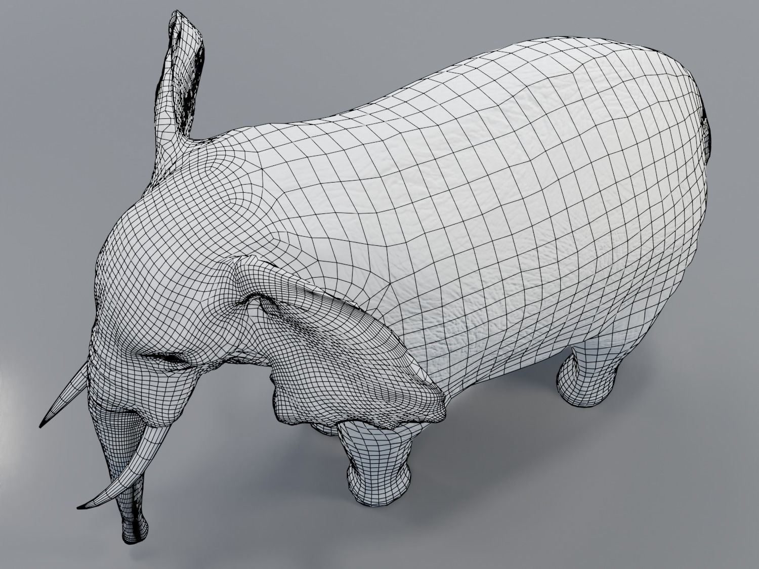 African Elephant - Loxodonta Africana Low-poly 3D model_13