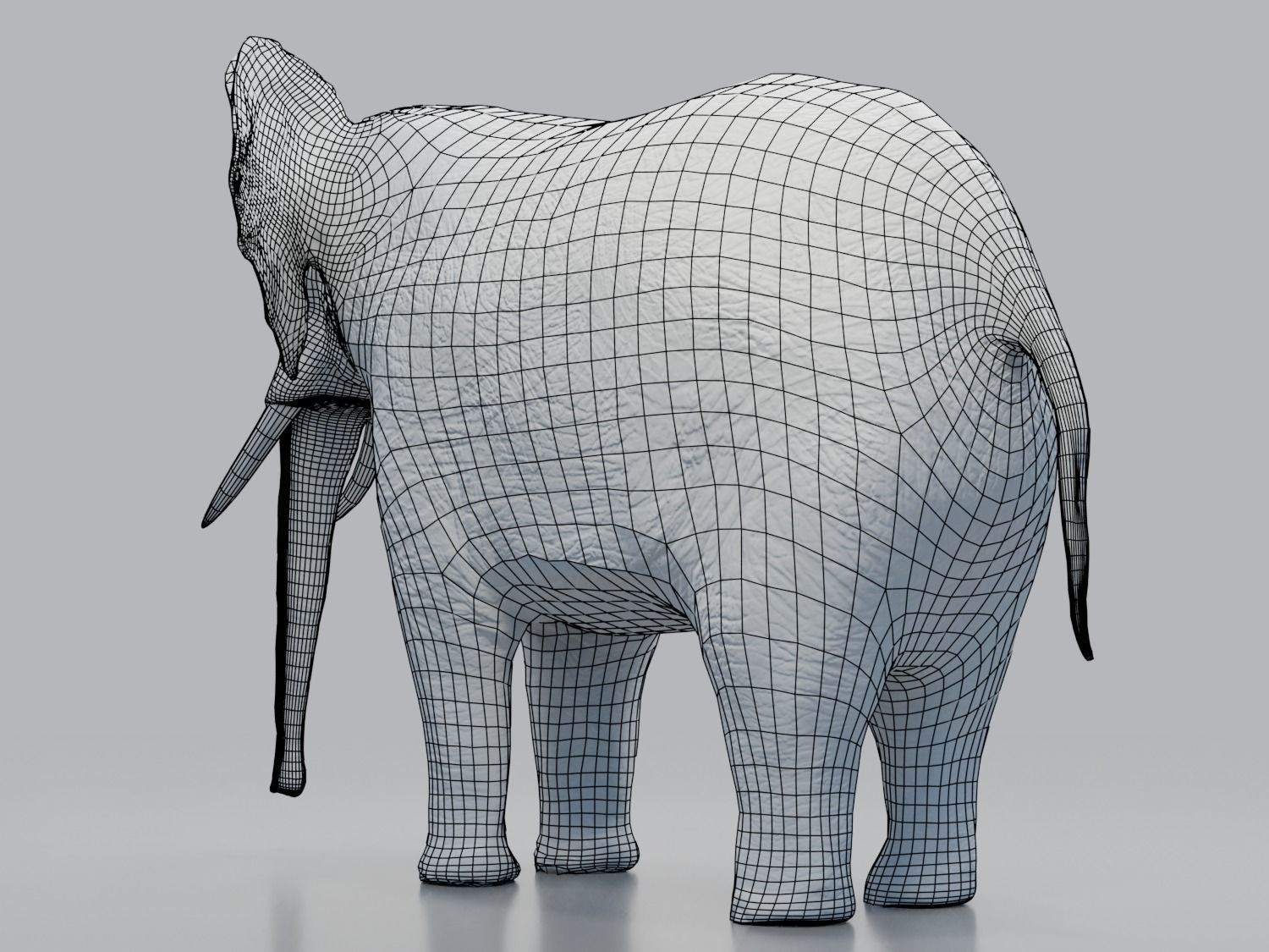 African Elephant - Loxodonta Africana Low-poly 3D model_11