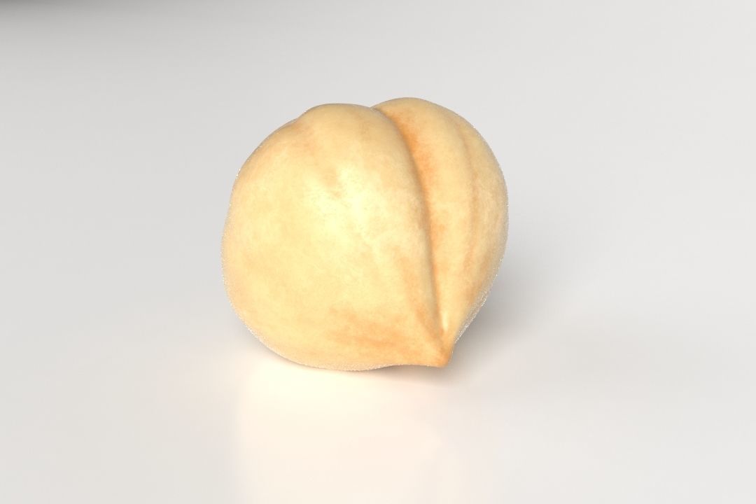 Hazelnut acorn Low-poly 3D model_5