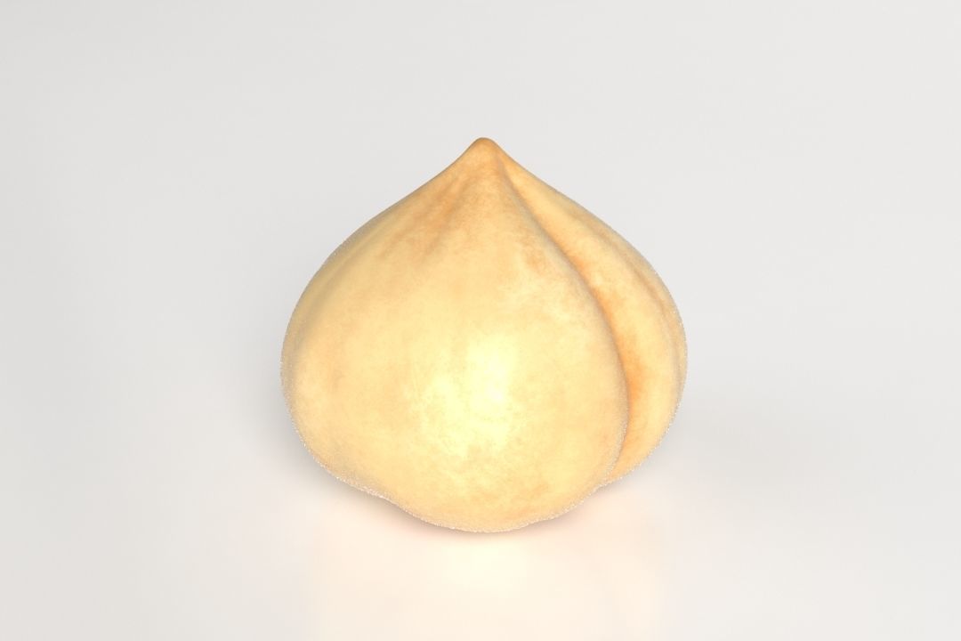 Hazelnut acorn Low-poly 3D model_1