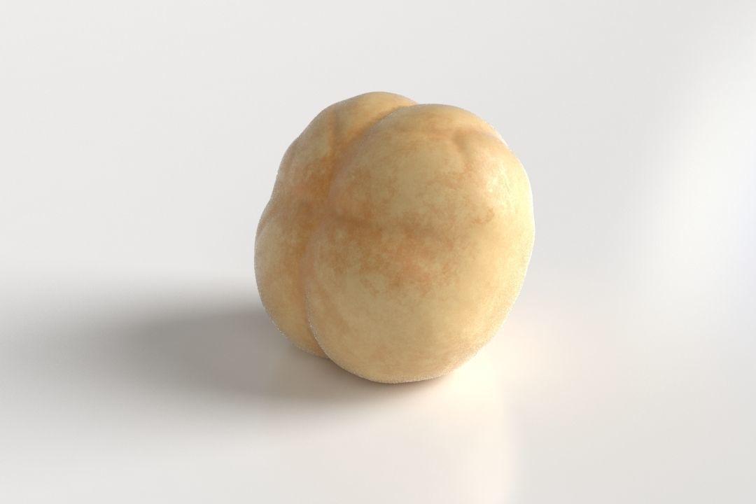 Hazelnut acorn Low-poly 3D model_6
