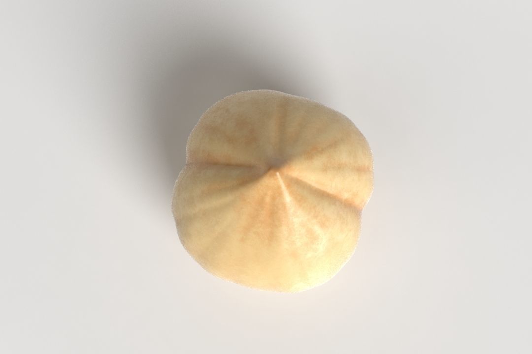 Hazelnut acorn Low-poly 3D model_2