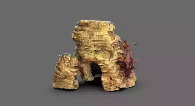 Aquarium Rock Fish House