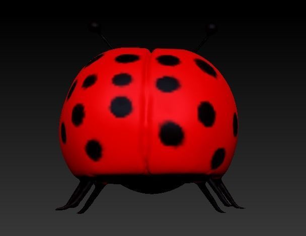 Shoemaker ladybug 3D model_4