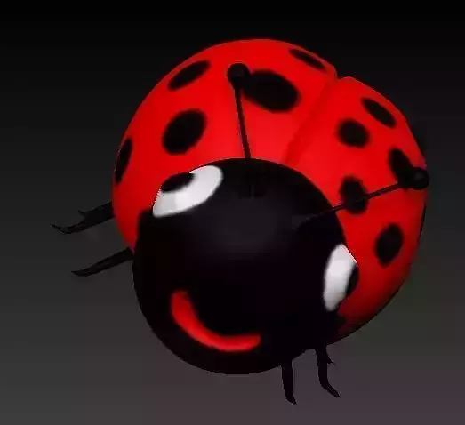 Shoemaker ladybug
