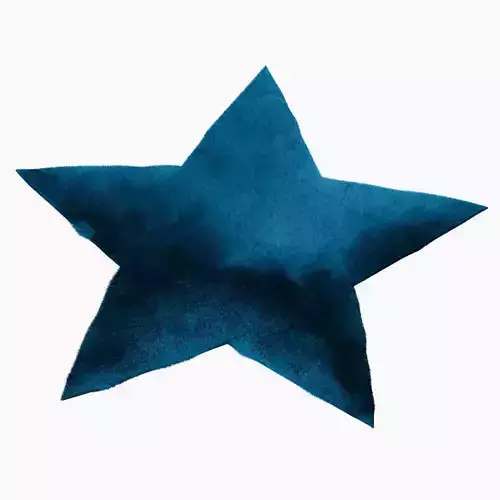 Rug Star 3D model
