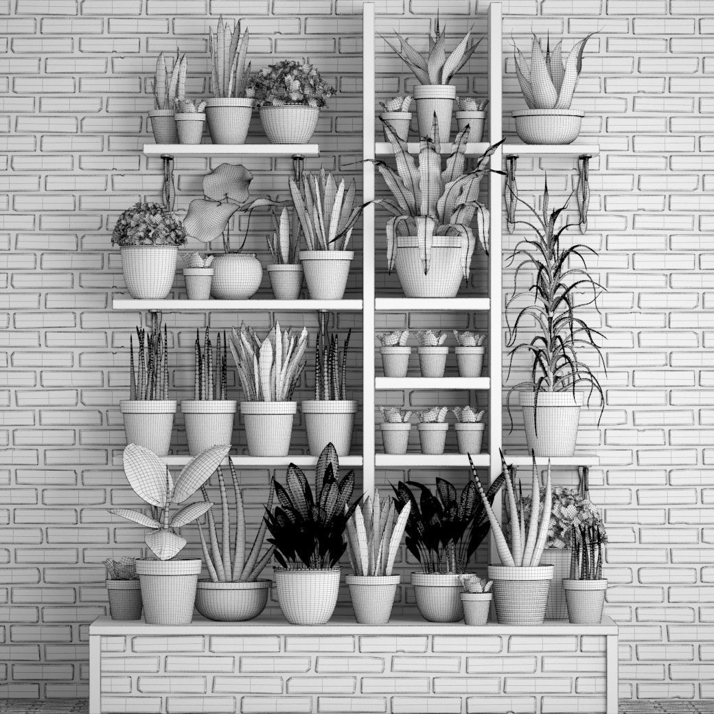 Collection of plants in concrete pots 2 3D model_13