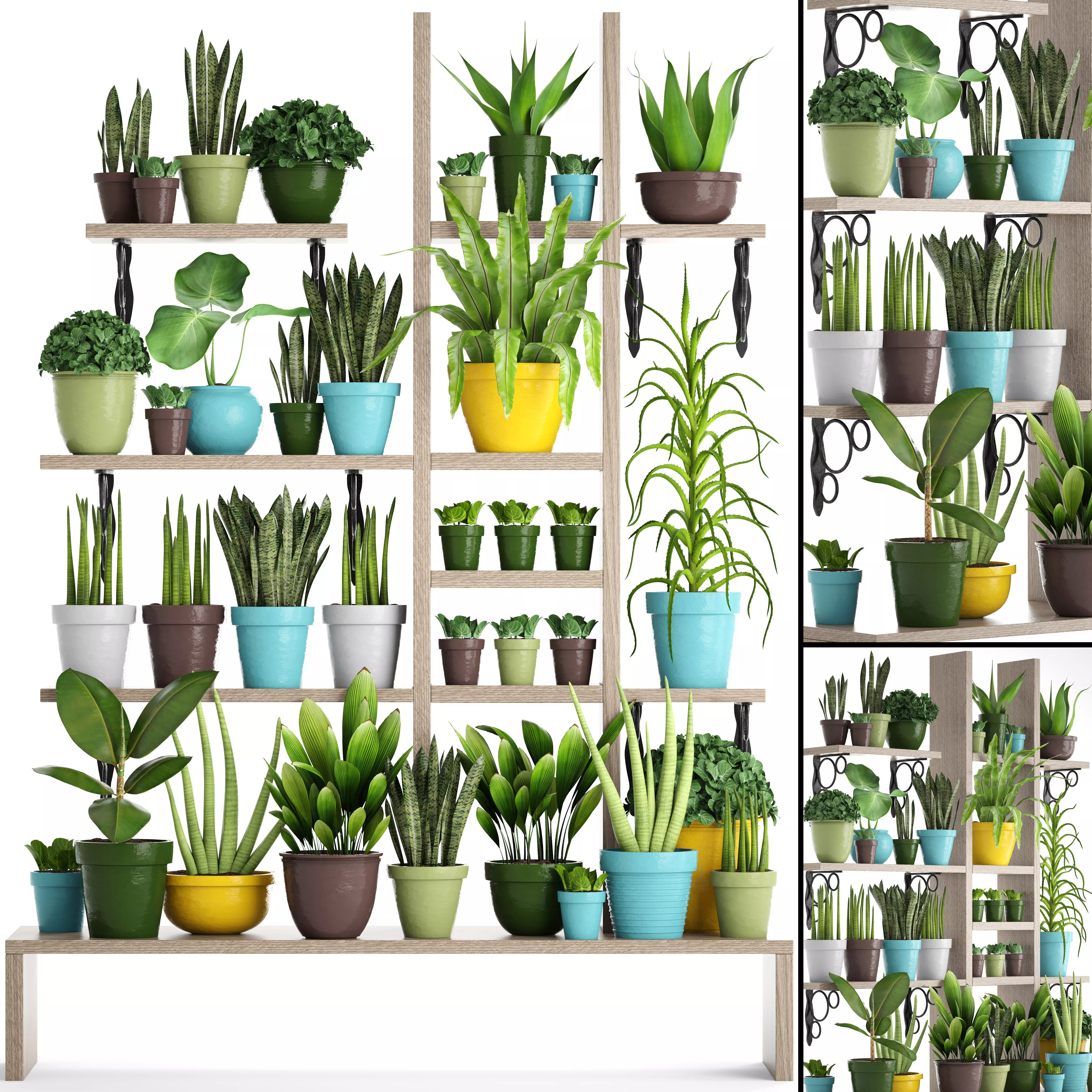 set top new a collection of plants in pots 3D model