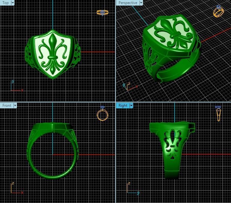Ring T00775 3D print model_2