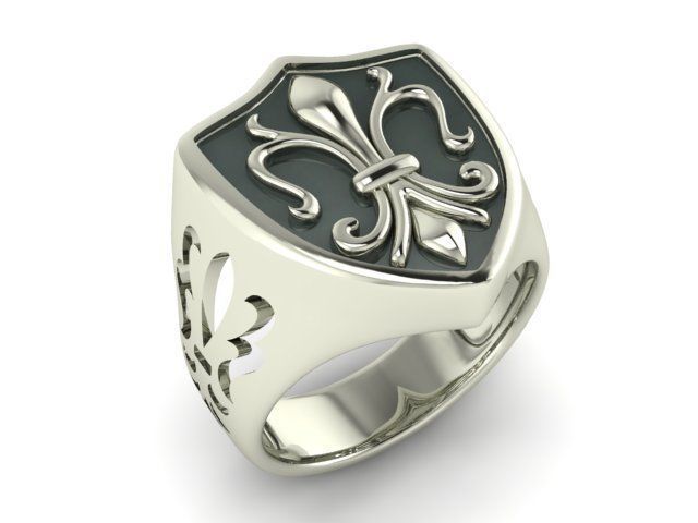 Ring T00775 3D print model_1