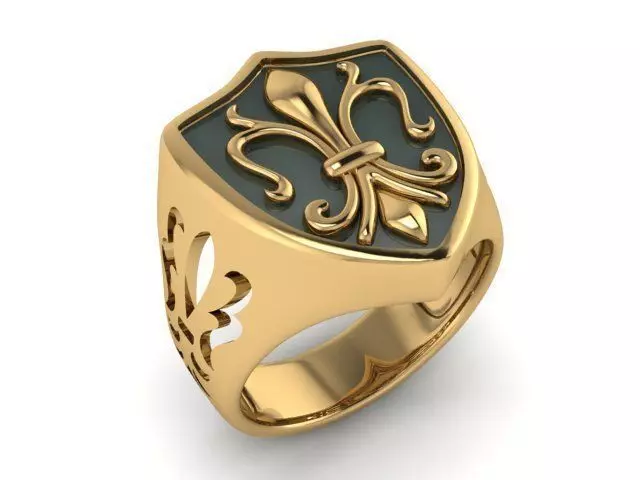 Ring T00775 3D print model_0