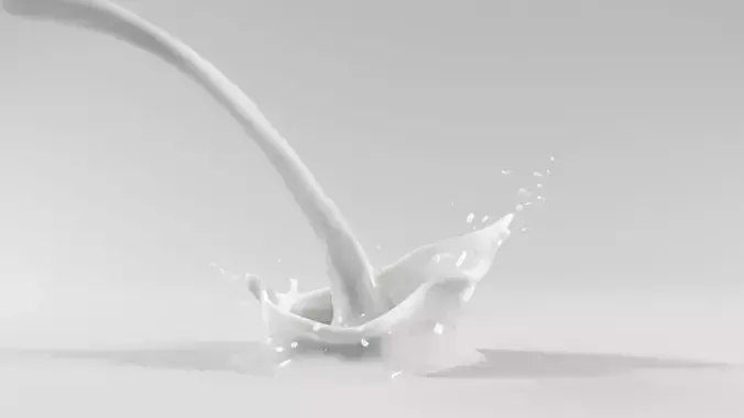 Splash Milk 3D model