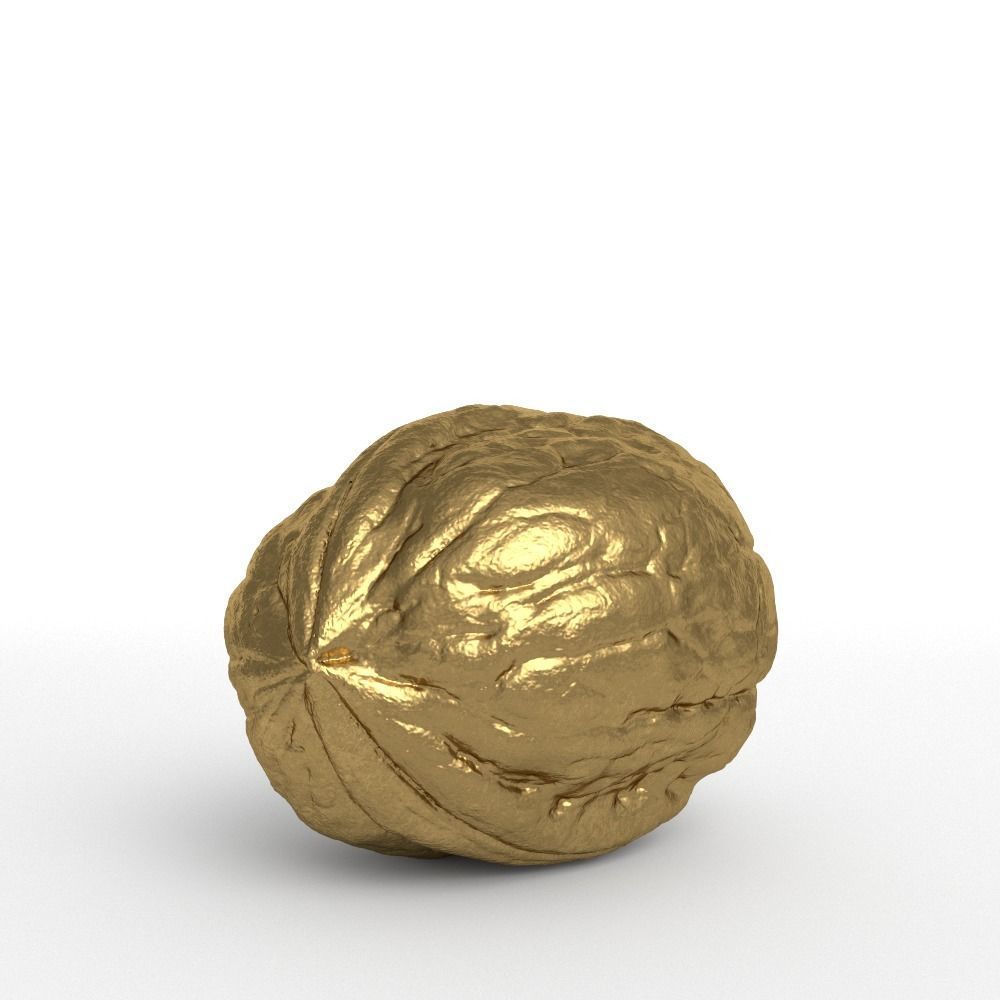 Golden Walnut Decorative 3D model_3