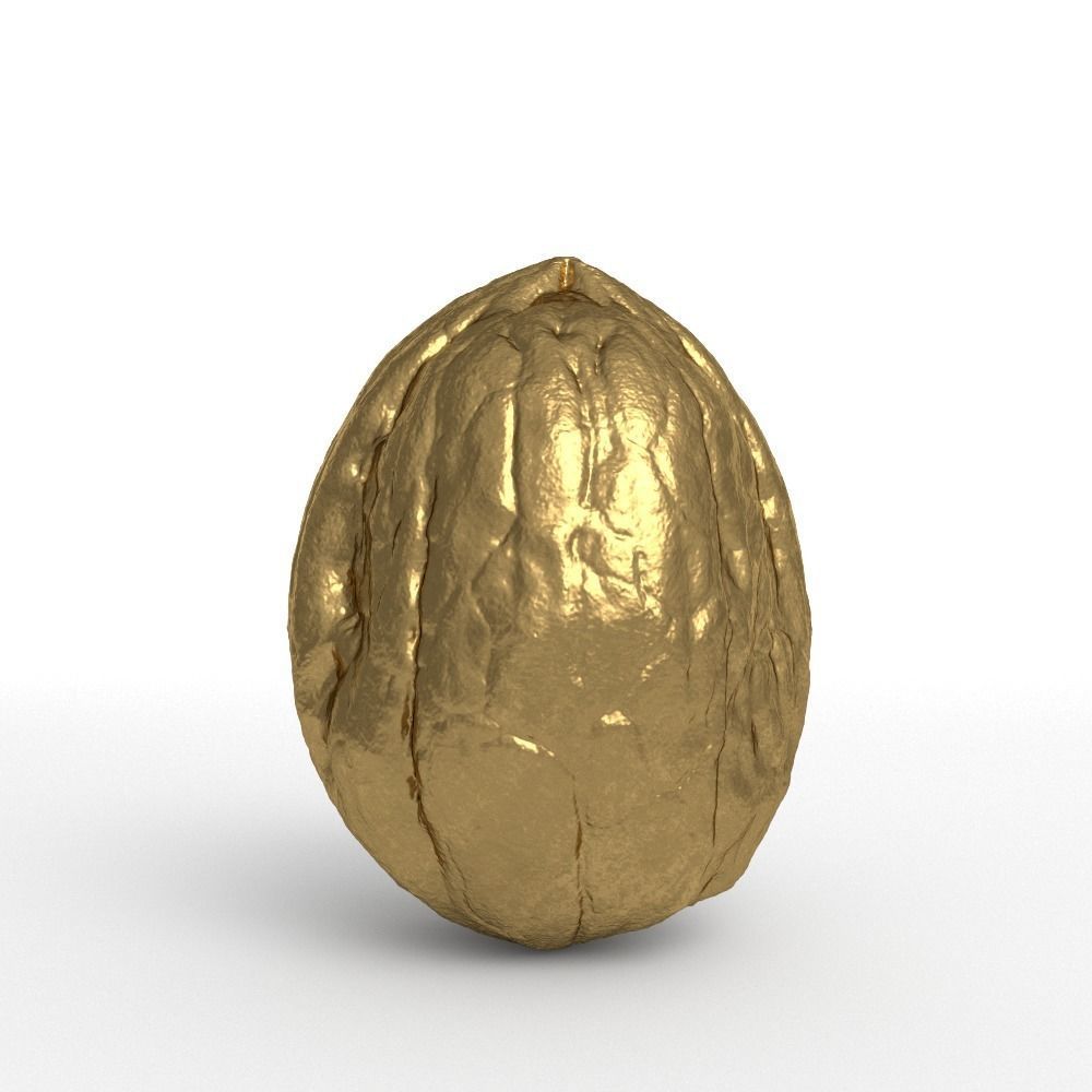 Golden Walnut Decorative 3D model_1
