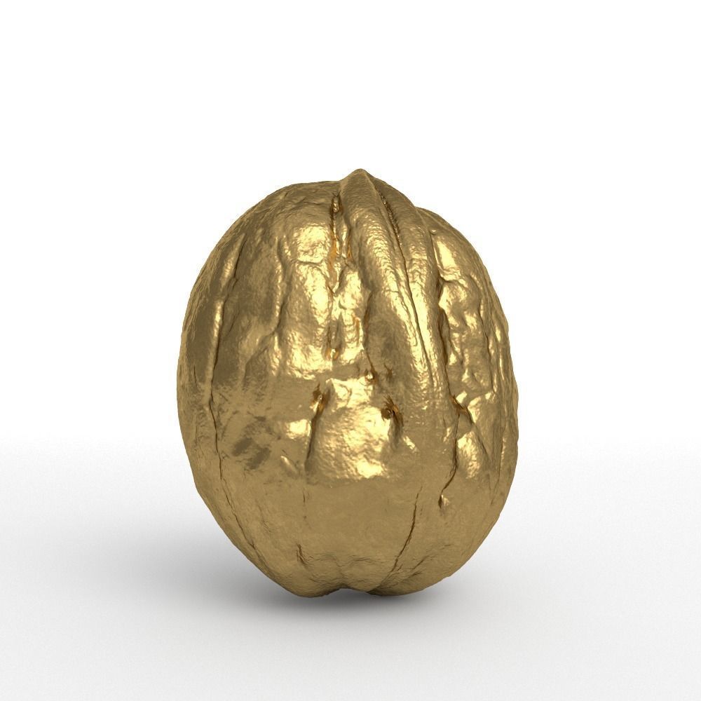 Golden Walnut Decorative 3D model_2