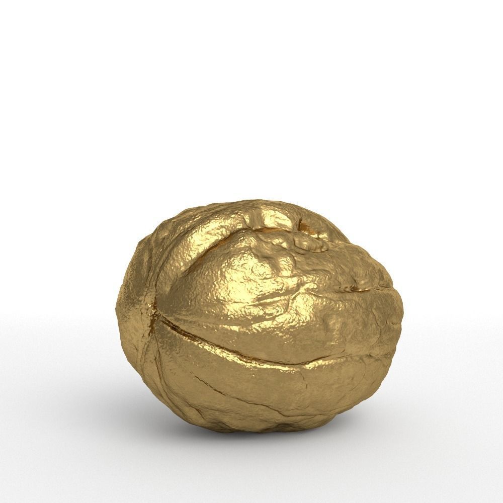 Golden Walnut Decorative 3D model_4