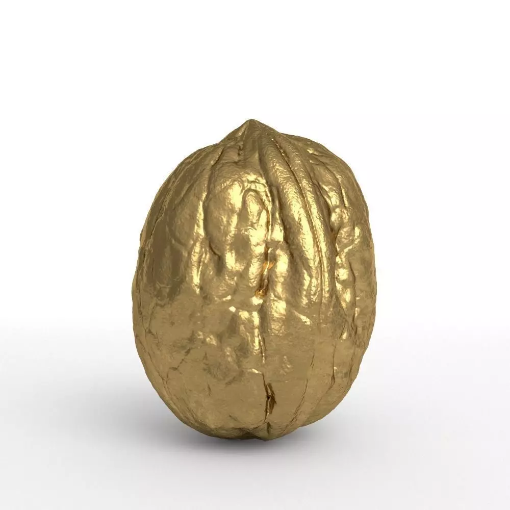 Golden Walnut Decorative 3D model_0