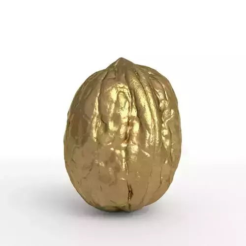 Golden Walnut Decorative 3D model